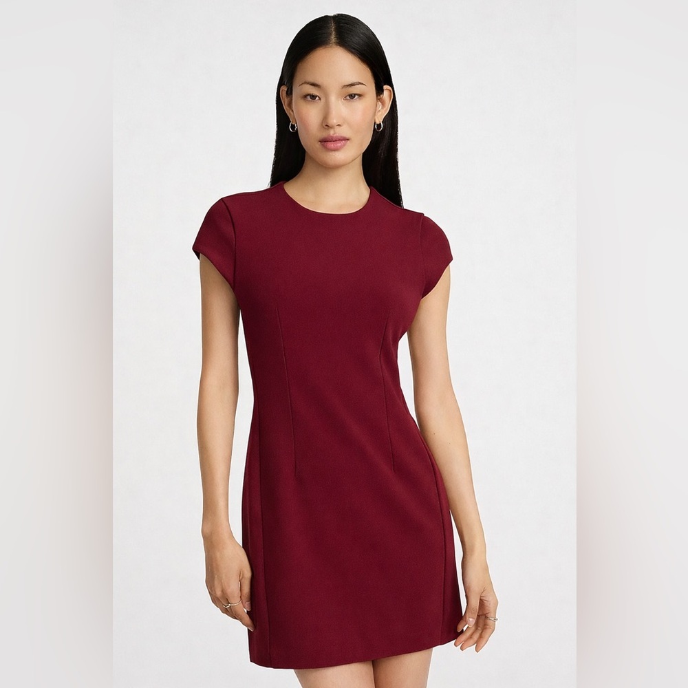 Express Elegant Burgundy Dress
